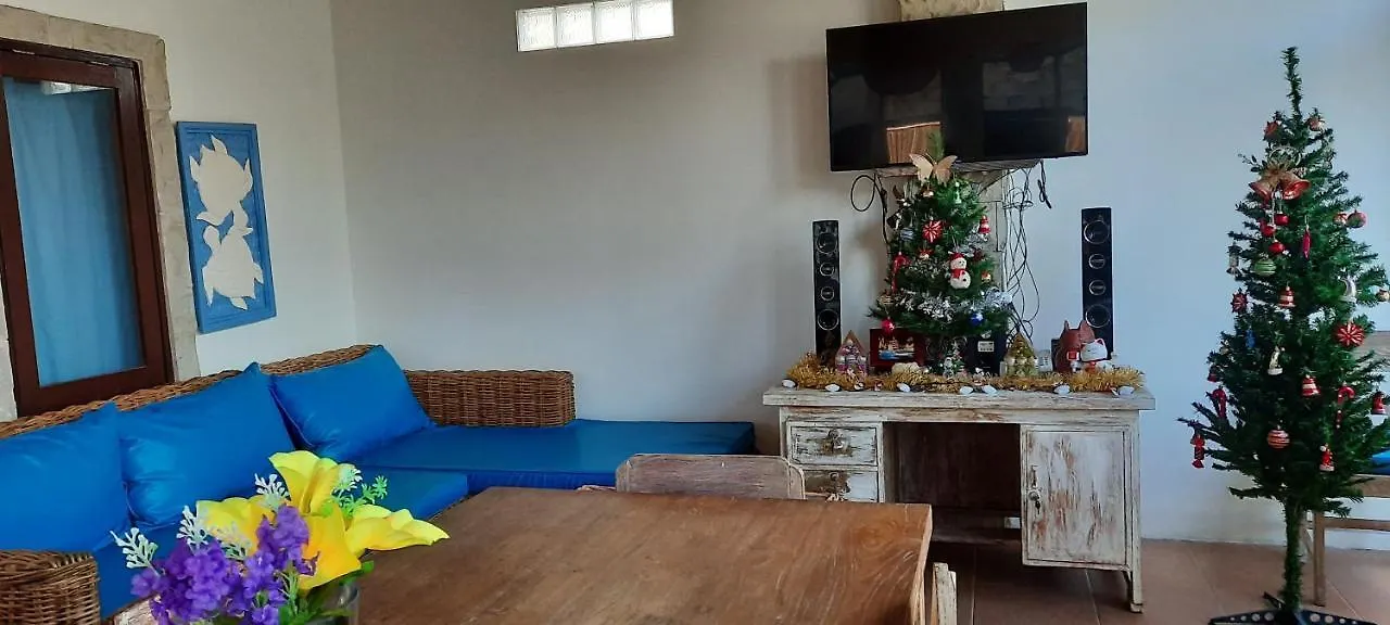 Turtle Island Homestay Sanur