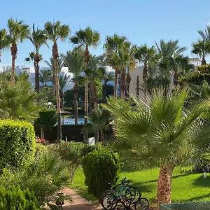 discover-perfect-beach-apartment-only-300m-away.es-andalucia.com/