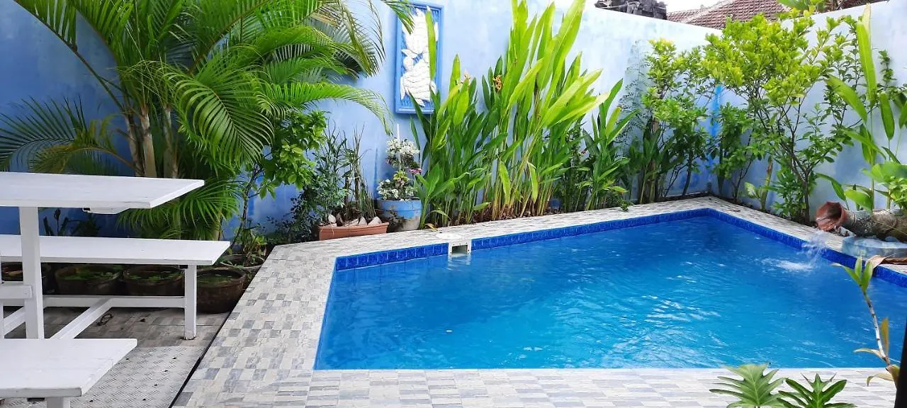 Turtle Island Homestay Sanur