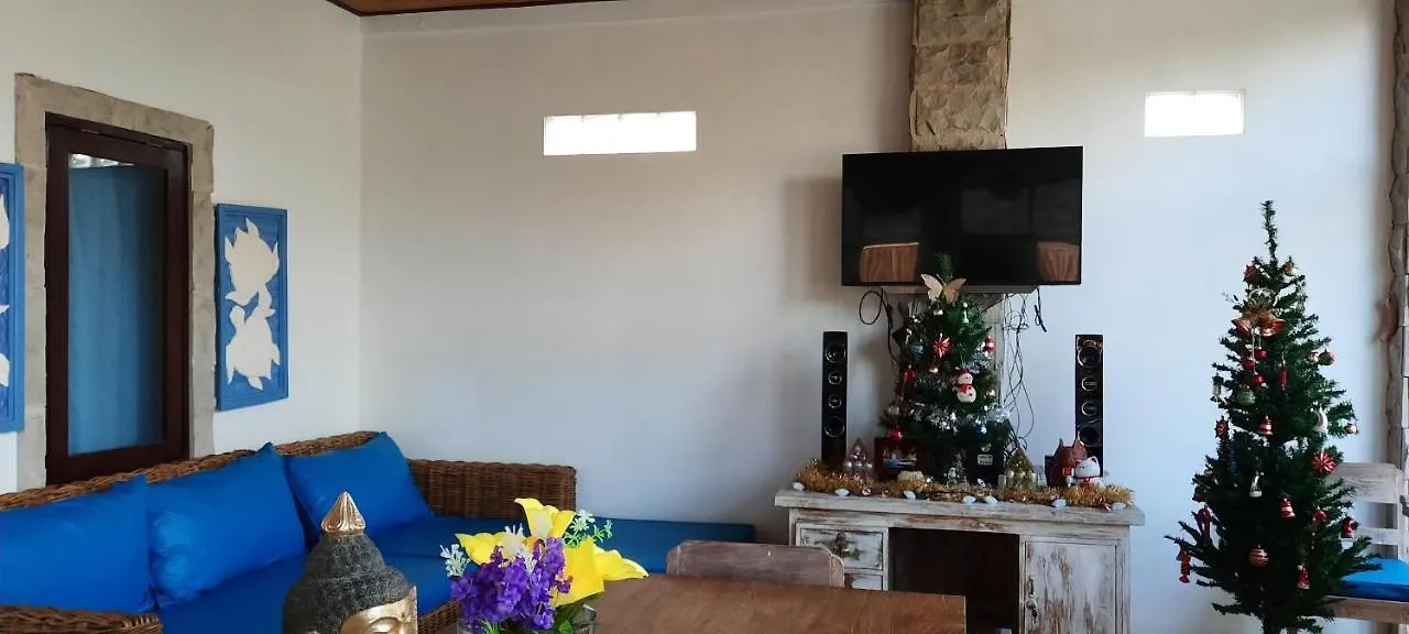 Turtle Island Homestay Sanur Indonesië